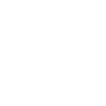 All American Guys Logo